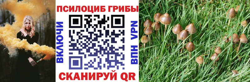 Псилоцибиновые грибы GOLDEN TEACHER  omg ТОР  Подпорожье 