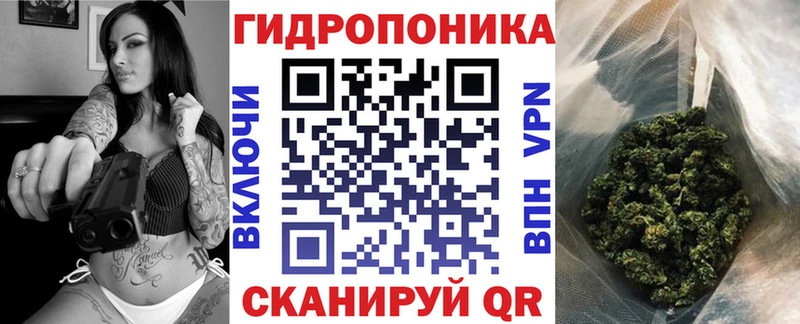 MEGA онион Подпорожье Бошки марихуана планчик